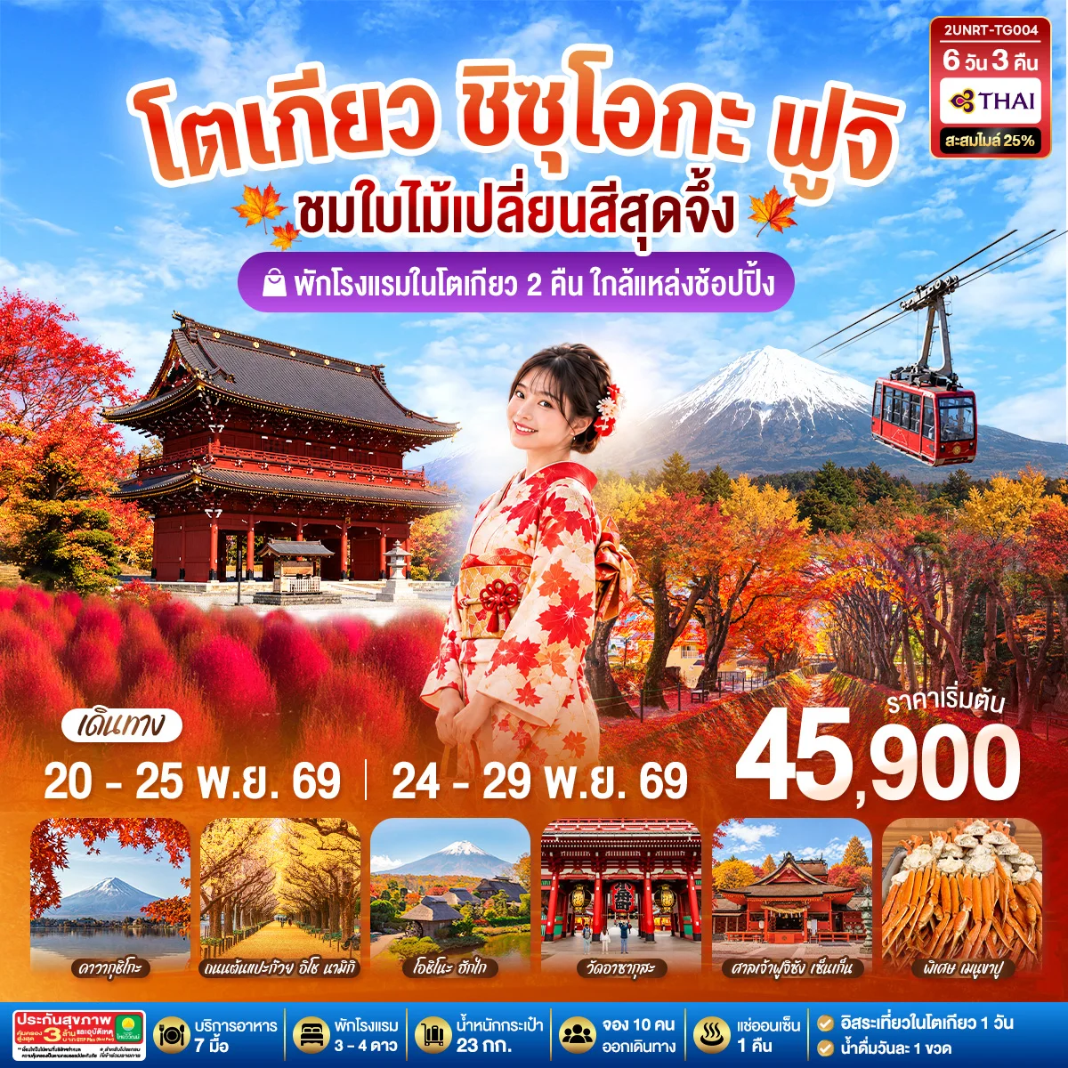 ทัวร์ญี่ปุ่น โตเกียว ชิซุโอกะ ฟูจิ นั่งกระเช้าคาจิคาจิ ชมใบไม้เปลี่ยนสีสุดจึ้ง 6วัน 3คืน (TG)